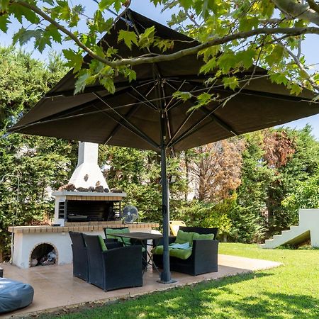 Beautiful Summer Villa In Chalkoutsi Khalkoutsion 외부 사진