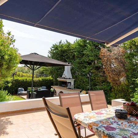 Beautiful Summer Villa In Chalkoutsi Khalkoutsion 외부 사진