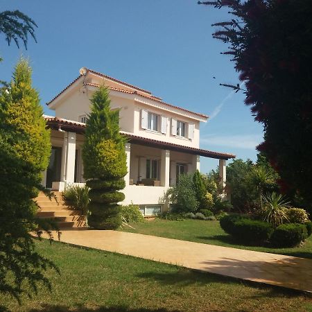 Beautiful Summer Villa In Chalkoutsi Khalkoutsion 외부 사진