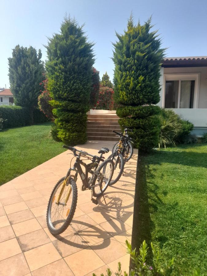 Beautiful Summer Villa In Chalkoutsi Khalkoutsion 외부 사진