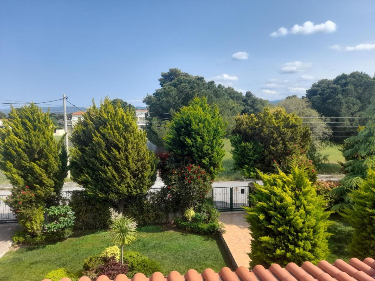 Beautiful Summer Villa In Chalkoutsi Khalkoutsion 외부 사진