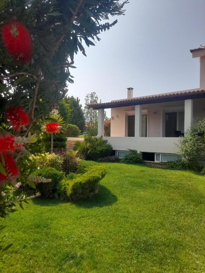 Beautiful Summer Villa In Chalkoutsi Khalkoutsion 외부 사진
