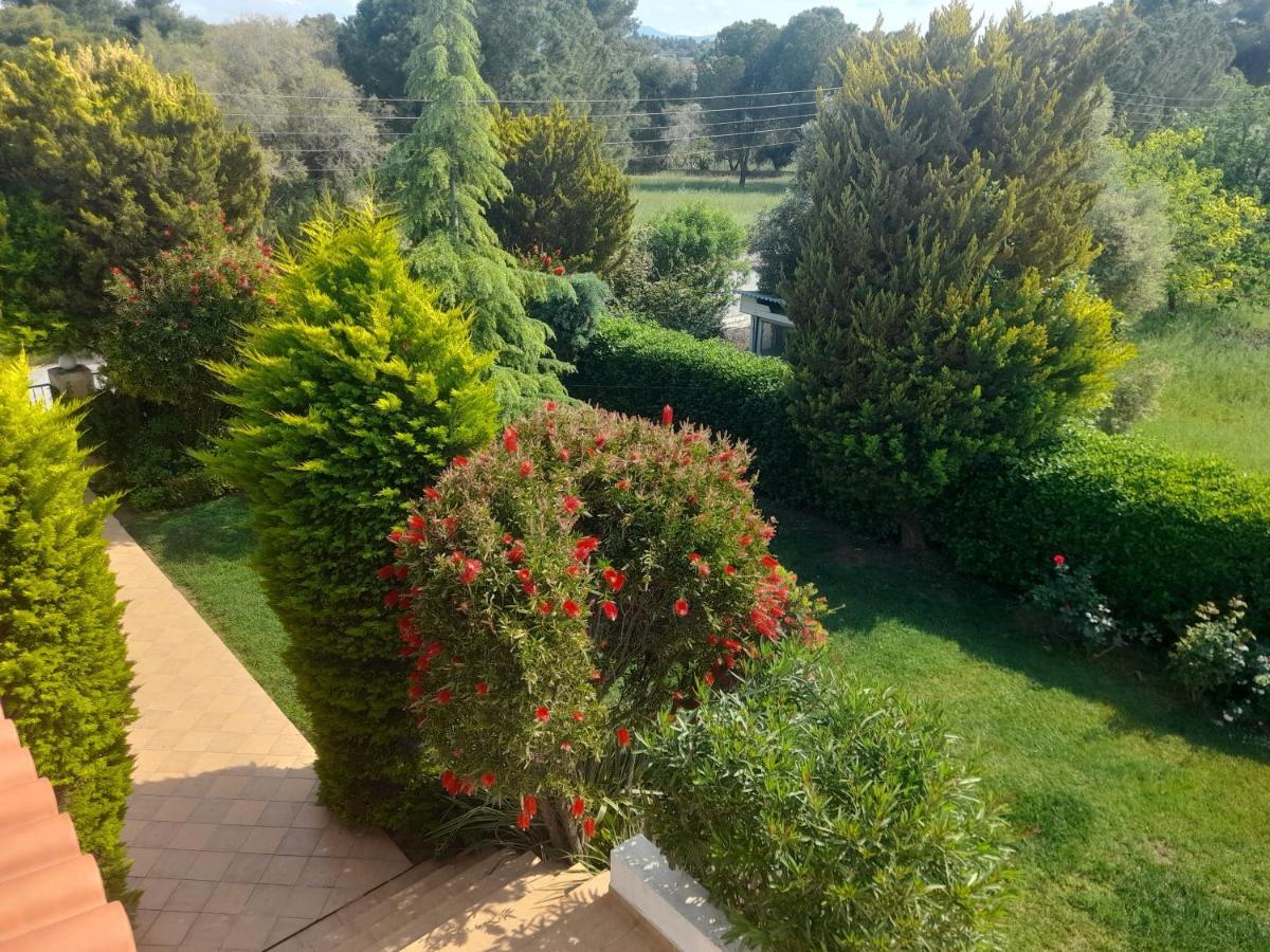 Beautiful Summer Villa In Chalkoutsi Khalkoutsion 외부 사진