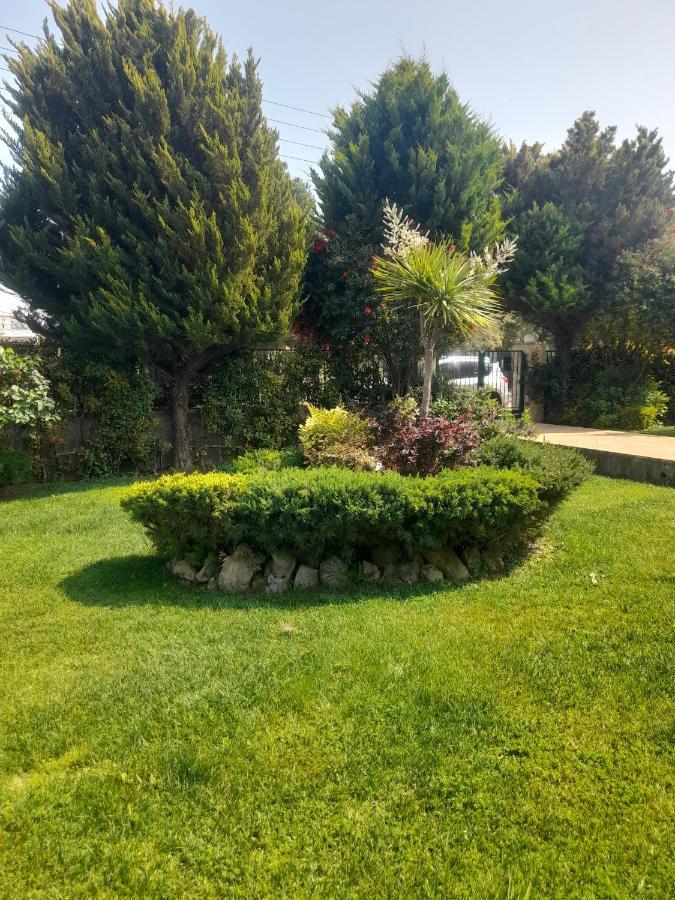 Beautiful Summer Villa In Chalkoutsi Khalkoutsion 외부 사진