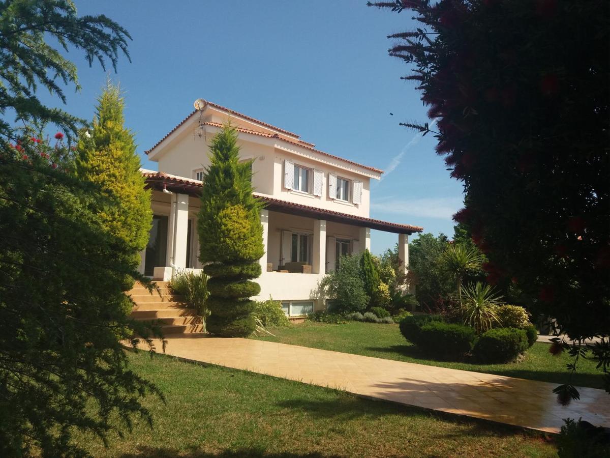 Beautiful Summer Villa In Chalkoutsi Khalkoutsion 외부 사진