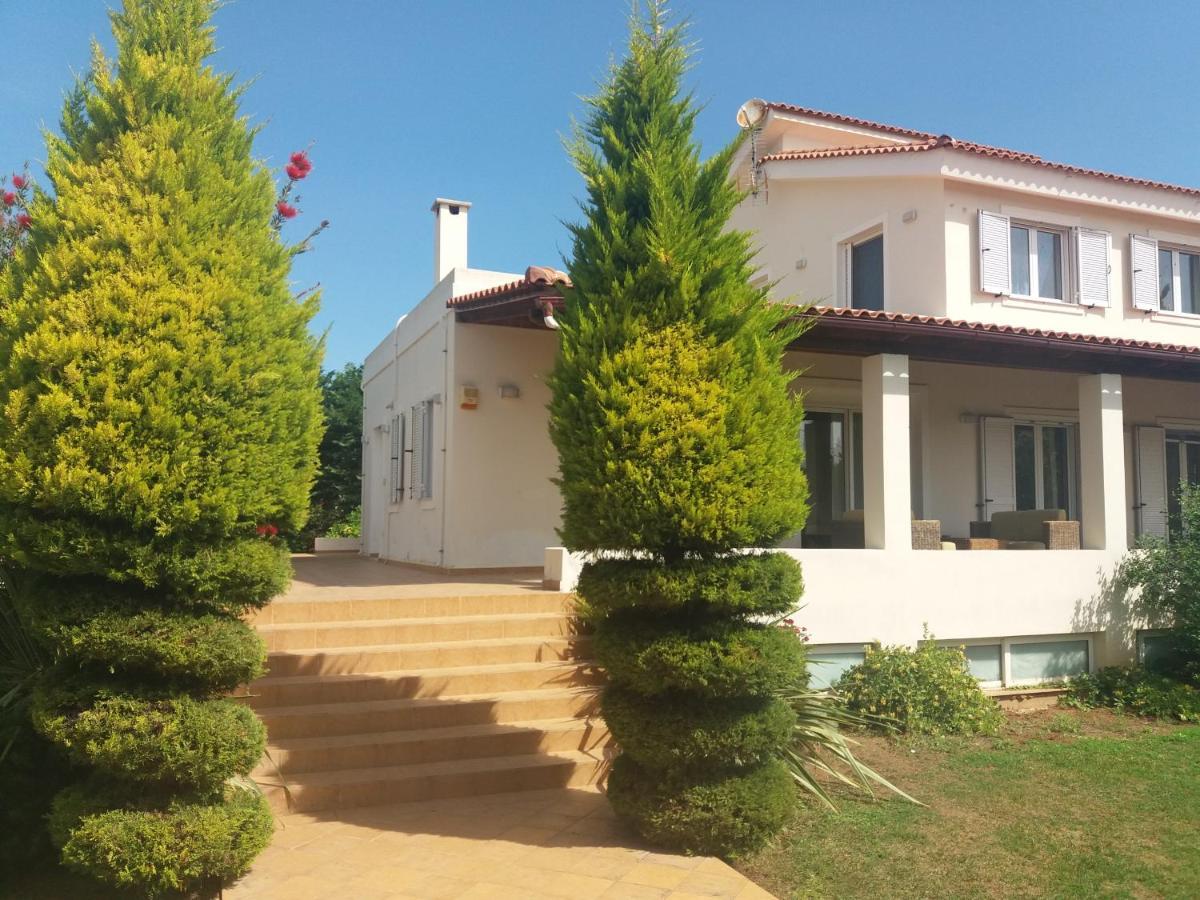 Beautiful Summer Villa In Chalkoutsi Khalkoutsion 외부 사진