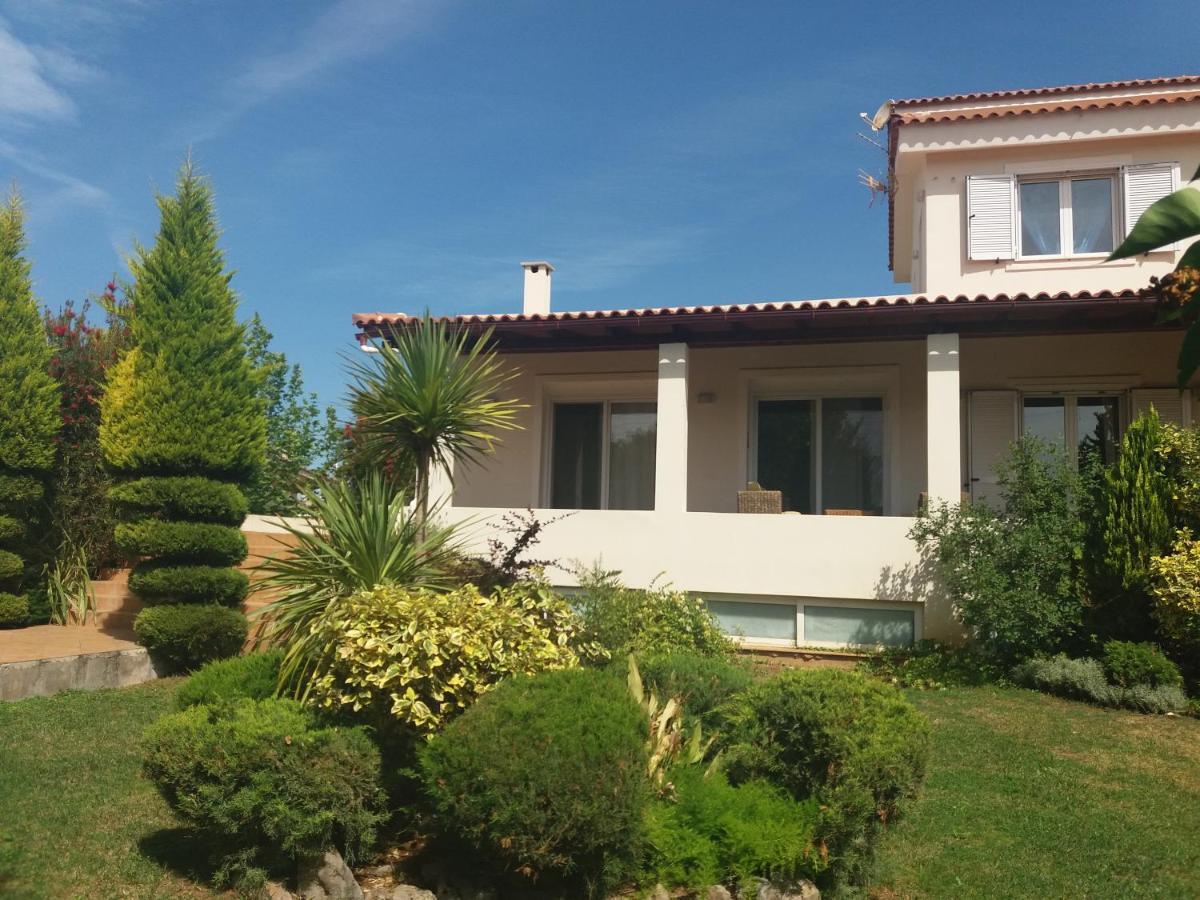Beautiful Summer Villa In Chalkoutsi Khalkoutsion 외부 사진