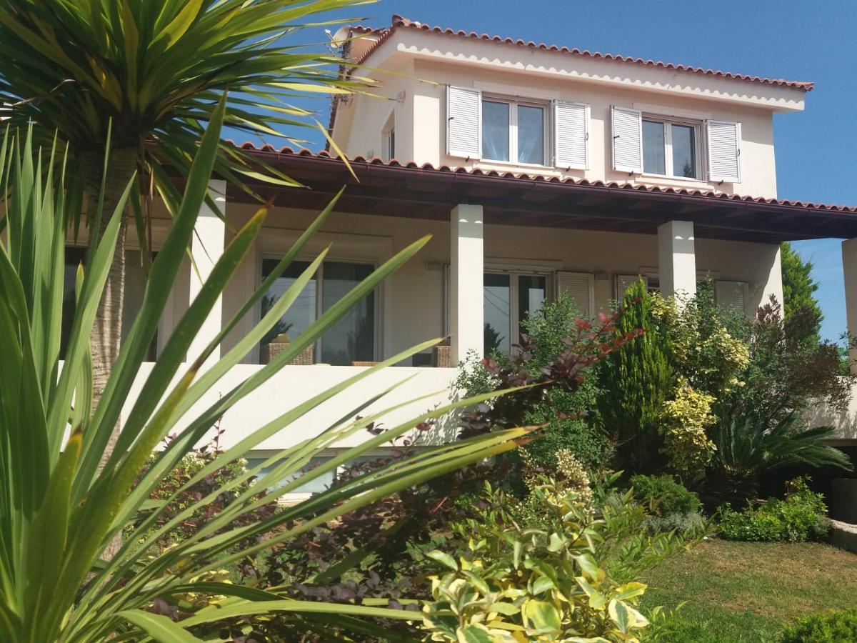 Beautiful Summer Villa In Chalkoutsi Khalkoutsion 외부 사진