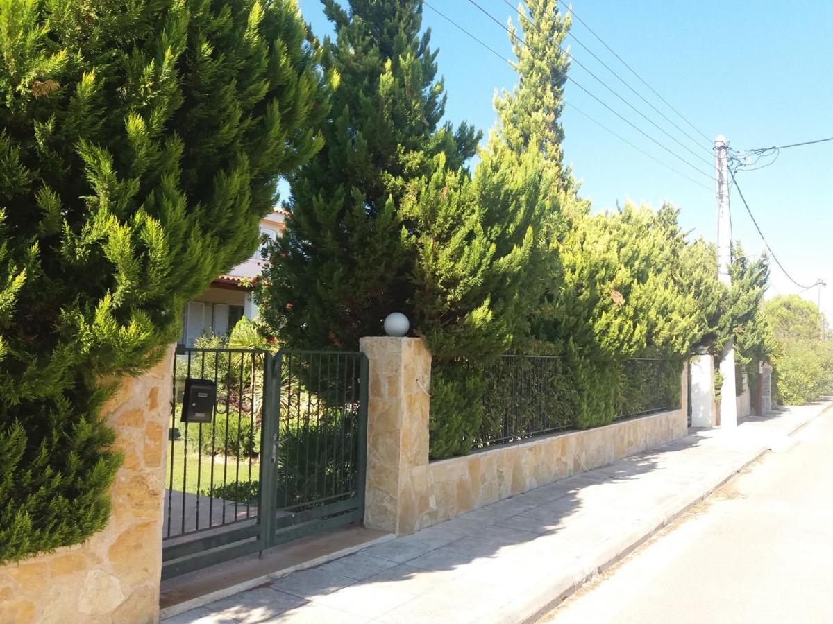 Beautiful Summer Villa In Chalkoutsi Khalkoutsion 외부 사진