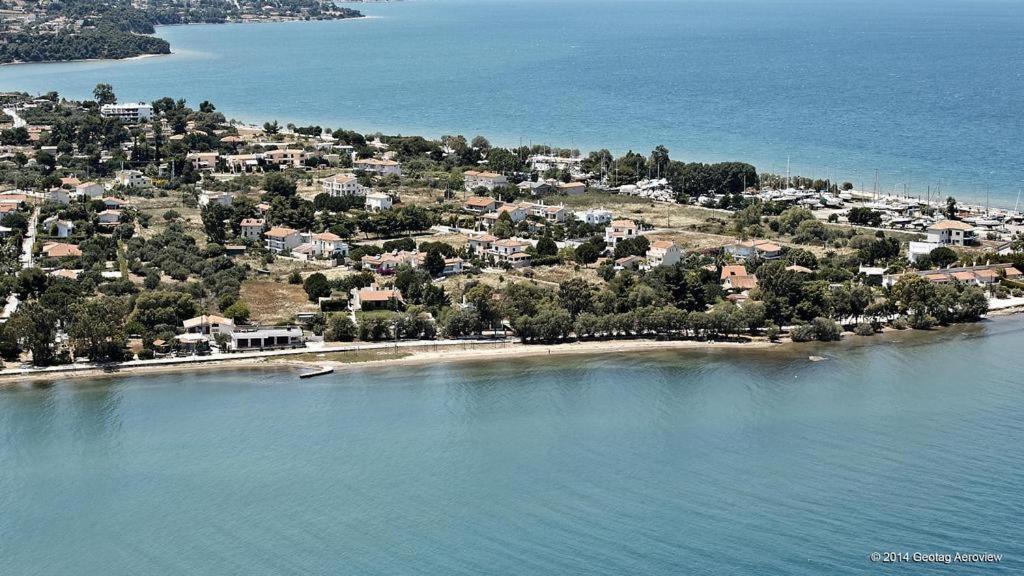 Beautiful Summer Villa In Chalkoutsi Khalkoutsion 외부 사진